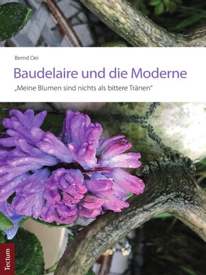 cover image of Baudelaire und die Moderne